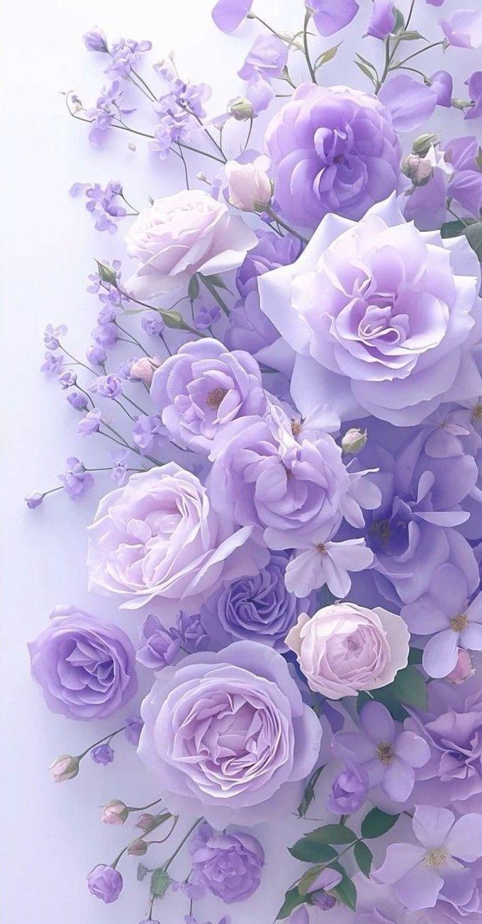 Whispering Blooms of Serenity Meadow